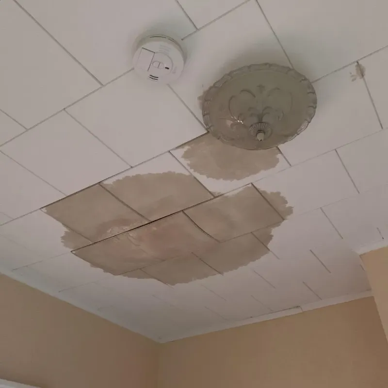 Ceiling Water Damage Repair in Oak Grove, SC